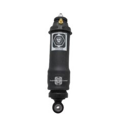 20453256 brw shock absorber for volvo image