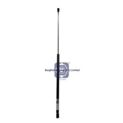 81970060003 brw gas spring for man image
