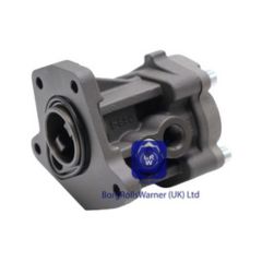 51121017148 brw fuel pump for man image