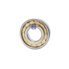  0029818701  brw cylindrical roller bearing   for  mercedes benz image