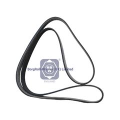 7422275092 brw v ribbed belt for renault image