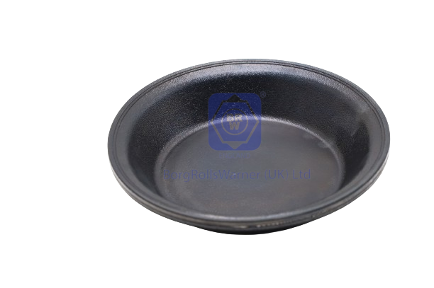 diaphragm 30
