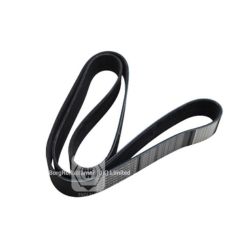 504022568 brw v-ribbed belt  for iveco image