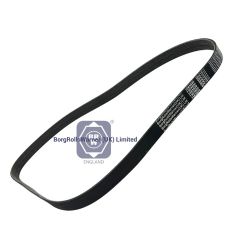 7363920 brw fly wheel drive  for bobcat image
