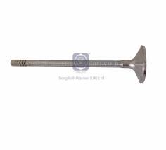 inlet valve image