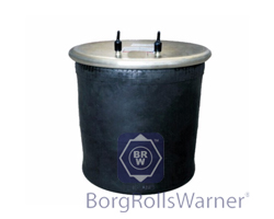 bellows with piston image