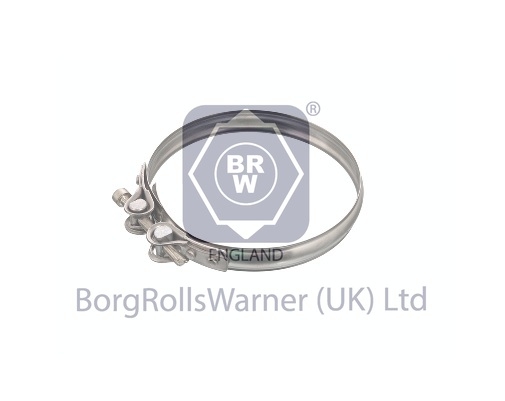hose clamp image