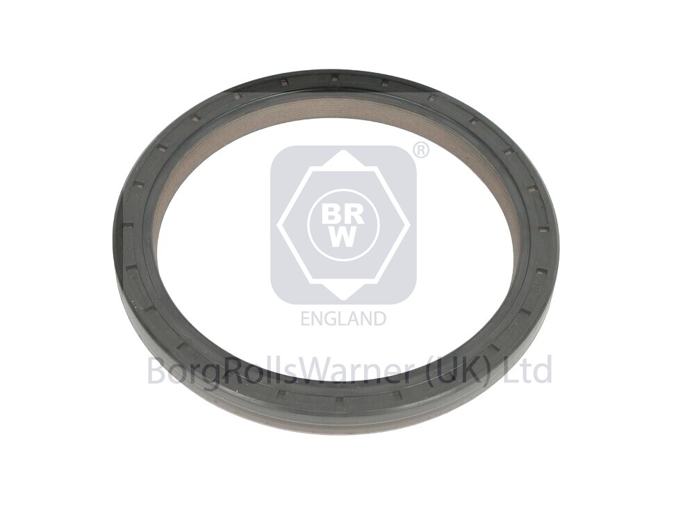 seal ring image