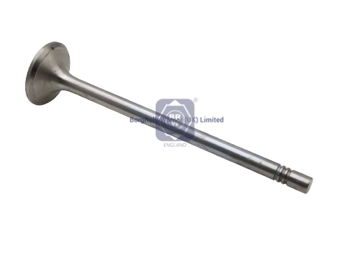 exhaust valve image