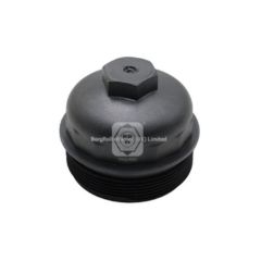 51125046003 brw filter head for man  image