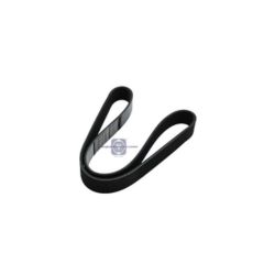 7420558734 brw v ribbed belt for renault image
