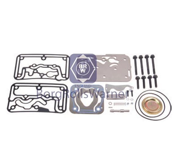 valve plate with repair kit image