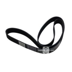 500339996 brw v-ribbed belt for iveco image