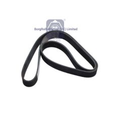 20430608 brw v-ribbed belt  for volvo image