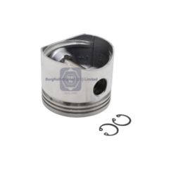 0699813std brw piston, air compressor for daf image