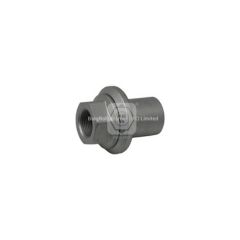 0252193410 brw wheel nut of bpw image