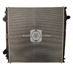 81061010075 brw radiator for man image
