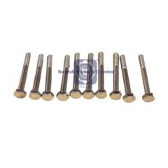 06010137221 brw stud for man image
