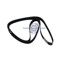 51968200273 brw v ribbed belt for man image