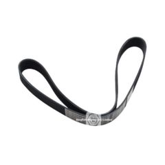 20430384 brw v ribbed  belt for volvo  image