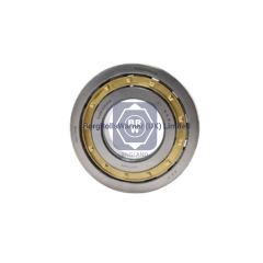 0059818501  brw cylindrical roller bearing  for  mercedes benz image