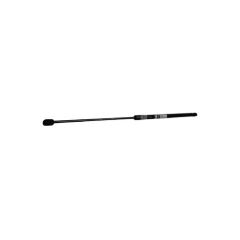 gas spring image