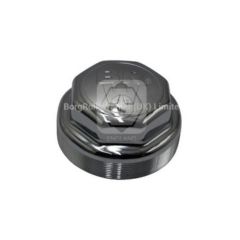 0321226010 brw cap, wheel bearing for bpw image